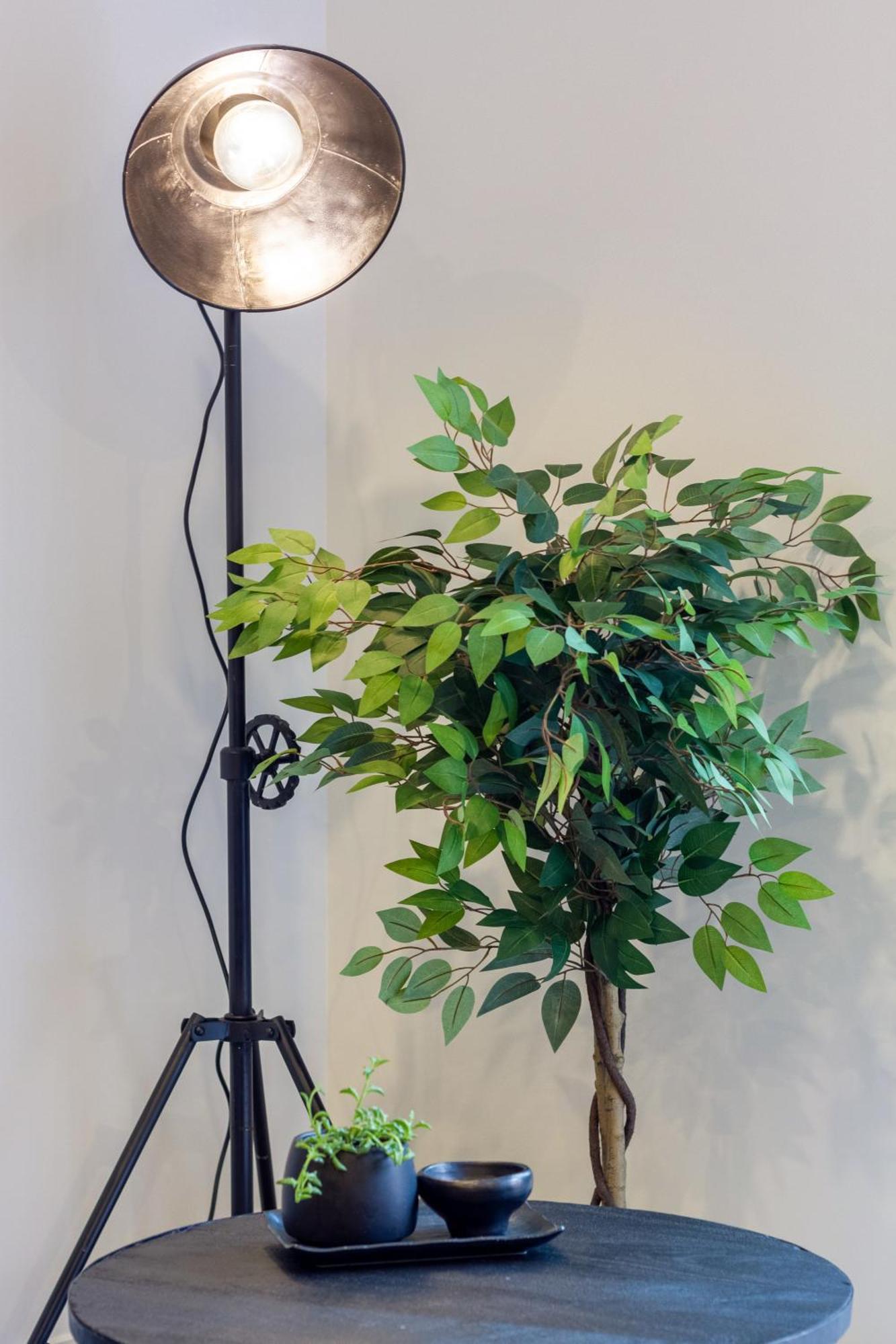 כרייסטצ'רץ' Merivale Gem: 2Br Townhouse Oasis מראה חיצוני תמונה